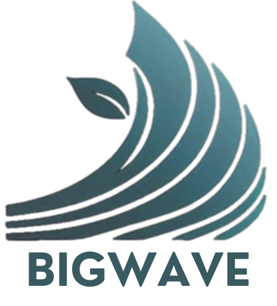 BigWave Logo